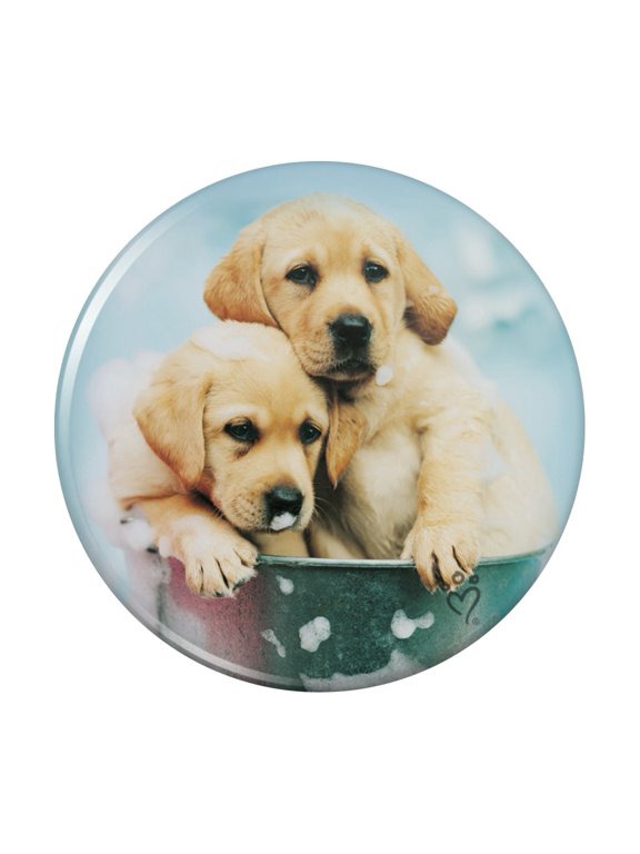 Labrador Retriever Puppies Dogs Bath Bubbles Bucket Pinback Button Pin