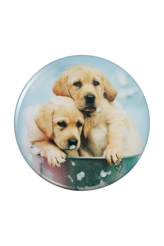 Labrador Retriever Puppies Dogs Bath Bubbles Bucket Pinback Button Pin