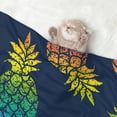 thumbnail image 2 of Naloa Abstract Bright Pineapple Fruit Retro Dog Blanket, 3 Sizes Cat Blanket for Indoor Cats Large Medium Small Dog Gifts-Medium, 2 of 8