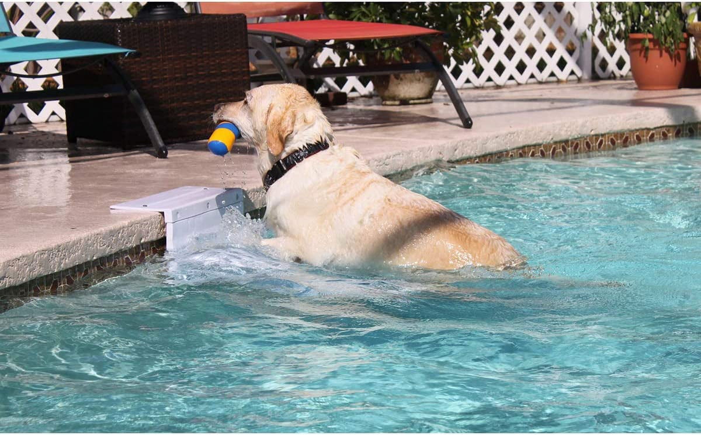 Paws Aboard PoolPup Steps Dog Pool Stairs