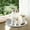 Gray, variant on Elevated Cat Bed Hammock & Dog Cot, Foldable No-Assembly Pet Bed with Mesh for Indoors/Outdoors, Lightweight Raised Cot for Cats & Small Dogs (White)