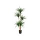 thumbnail image 3 of Versatile 4ft/5ft/6ft simulation dracaena artificial tree para estilizado para home y oficina decoration, 3 of 9