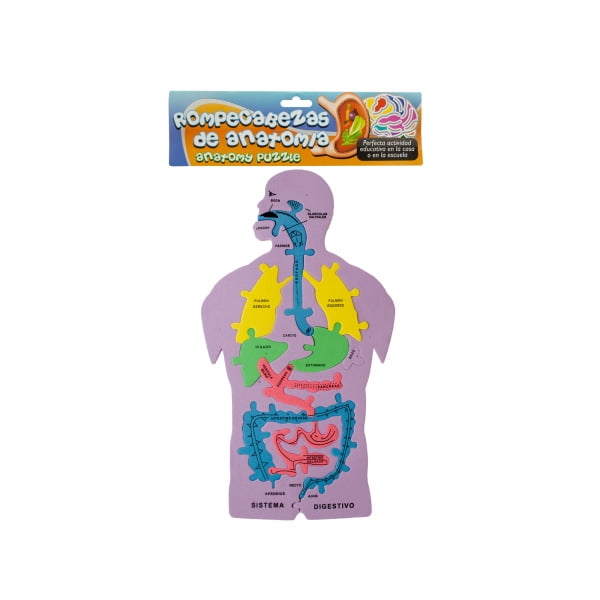 Spanish Anatomy Foam Puzzle (Pack Of 24)