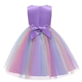 thumbnail image 2 of Flower Girls Sequin Party Dress Rainbow Mesh Tulle Princess Lace Ball Gown Prom Toddler Kids 3-10 Years, 2 of 9
