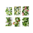 thumbnail image 4 of LABSERRON Green Garlands for Decoration Artificial Vines Morning Glory for Show Windows Party Celebrations 2Pcs 11.4in, 4 of 5