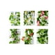 thumbnail image 4 of 2 enredaderas artificiales de gloria de la mañana, plantas verdes colgantes, guirnalda de seda para el hogar, jardín, pared, valla, escalera, exterior, boda, cestas colgantes, decoración (rojo rosa), 4 of 4