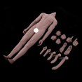 thumbnail image 2 of 1 Pieza Cuerpo de Figura Masculina Muscular de Plástico y Metal con 1 Traje 1/6 Piel oscura perfke Cuerpo de figura de acción a escala, 2 of 9