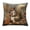 03_Animal Imitation Embroidery Throw Pillow Cover 18x18in Set 4 C JIAX143-25, variant on Throw Pillow Cover 18x18 Inch Alpacas Fox Squirrels Cute Animals Print Decorative Cushion Case Soft Polyester Pillowcase for Sofa Living Room by PALIFEUR