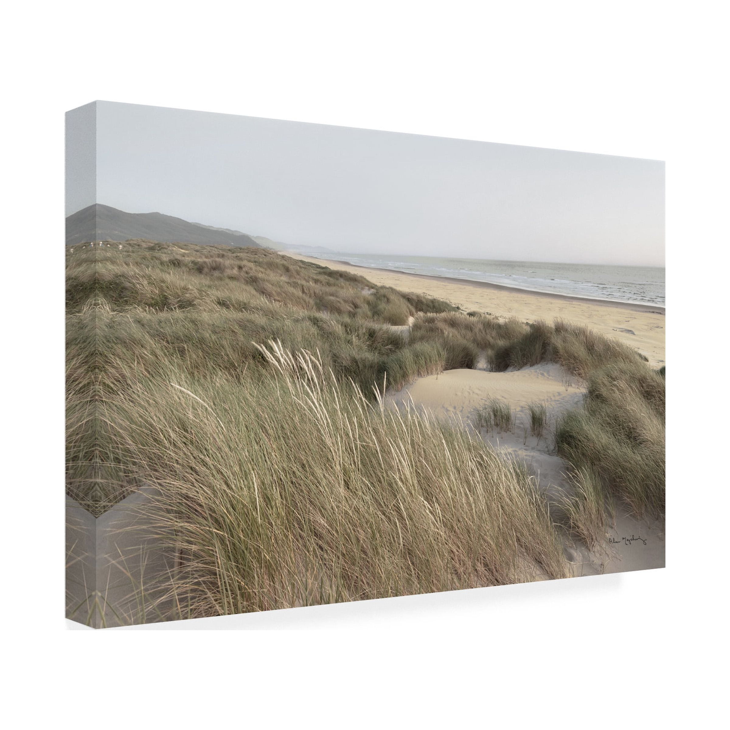 Alan Majchrowicz 'Oregon Dunes' Canvas Art