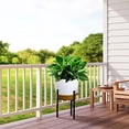 thumbnail image 6 of 12 inch Large Self Watering Pots, Plastic Planters with 60oZ Removable Deep Reservoir and Multi Mesh Drainage Holes for Indoor Outdoor Garden Plants and Flowers, White with Brown, 6 of 6