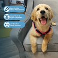thumbnail image 2 of Malla Harness Best Pet Supplies para todo tipo de clima para perros y gatos pequeños y medianos, 2 of 8