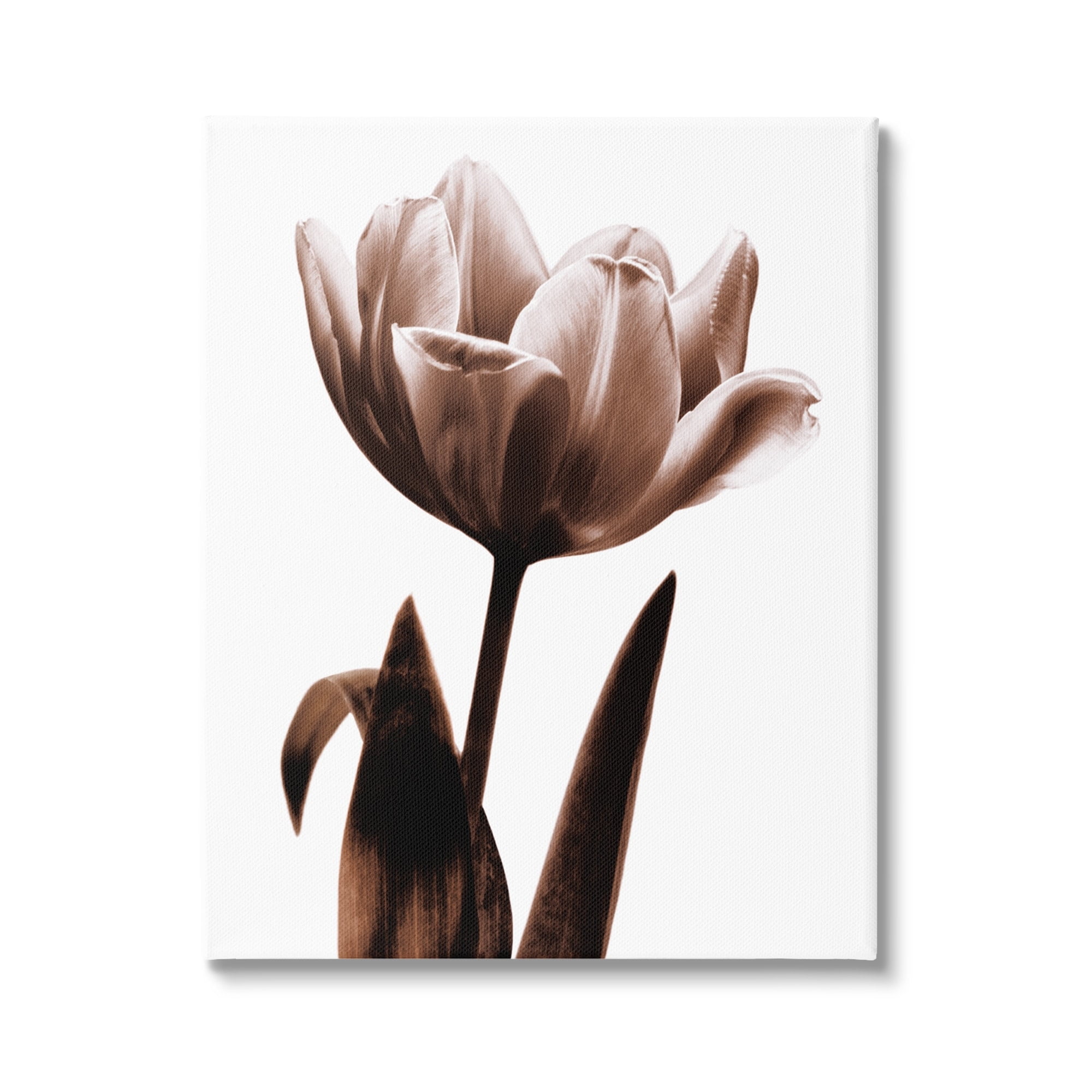 Stupell Blooming Tulip Silhouette Botanical & Floral Photography Gallery Wrapped Canvas Print Wall Art