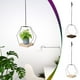 thumbnail image 1 of Macetero Colgante de Macramé para Interior | Decoración Boho para Techo y Ventana | Soporte de Macramé de 12" | Anillos de Acero de Titanio y Cuerda de Algodón Ecológico de 80 cm | Soporta hasta 15, 1 of 6