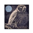 thumbnail image 2 of Trademark Fine Art "Owl 1" Canvas Art by Color Bakery, 2 of 4