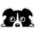 thumbnail image 1 of Calcomanía de perro asomando, pegatina de vinilo con cara de perro para coche, calcomanía de ventana de coche con adhesivo de mascota asomando, calcomanía de perro en blanco y negro 14*8cm, 1 of 5