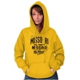 thumbnail image 3 of Missouri All That's Missing Is You MO Hoodie Sweatshirt Women Men Brisco Brands 2X, 3 of 6