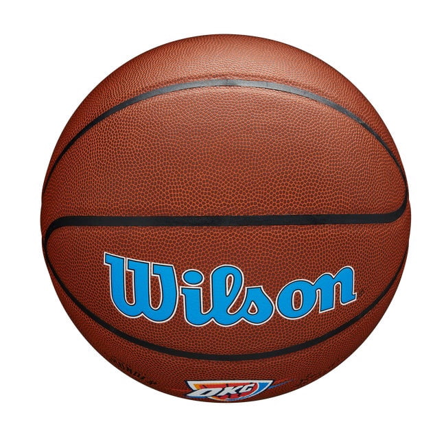 Wilson NBA Team Alliance Basketball