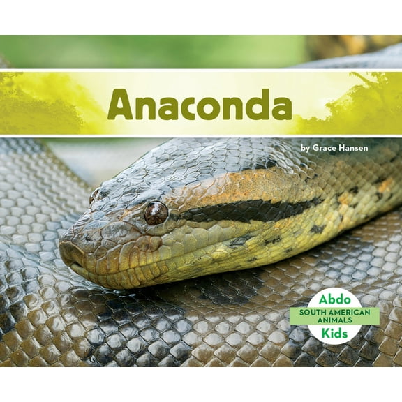 South American Animals (Ak) Anaconda, (Hardcover)
