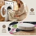 thumbnail image 5 of ODIKA 4'x6' Washable Area Rug Music Vinyl Note Record Inspired Showcasing Grid Layout Round for Bedroom, Reading Nook, Pet Friendly & Non-Shedding, 5 of 7