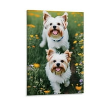 Maltese Puppy Cute Doggy Wall Art Picture Painting Poster Canvas Print Posters Artworks Bedroom Living Room Decor 24x36inch(60x90cm)