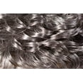 thumbnail image 3 of Foxy Silver Emily Wig Syn - Color 3T44, 3 of 3