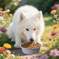 thumbnail image 2 of Stainless Steel Pet Supplies – Durable and Easy to Clean Feeding Bowls for Dogs and Cats Metal Food and Water Dishes for Home and Kennels, 2 of 4