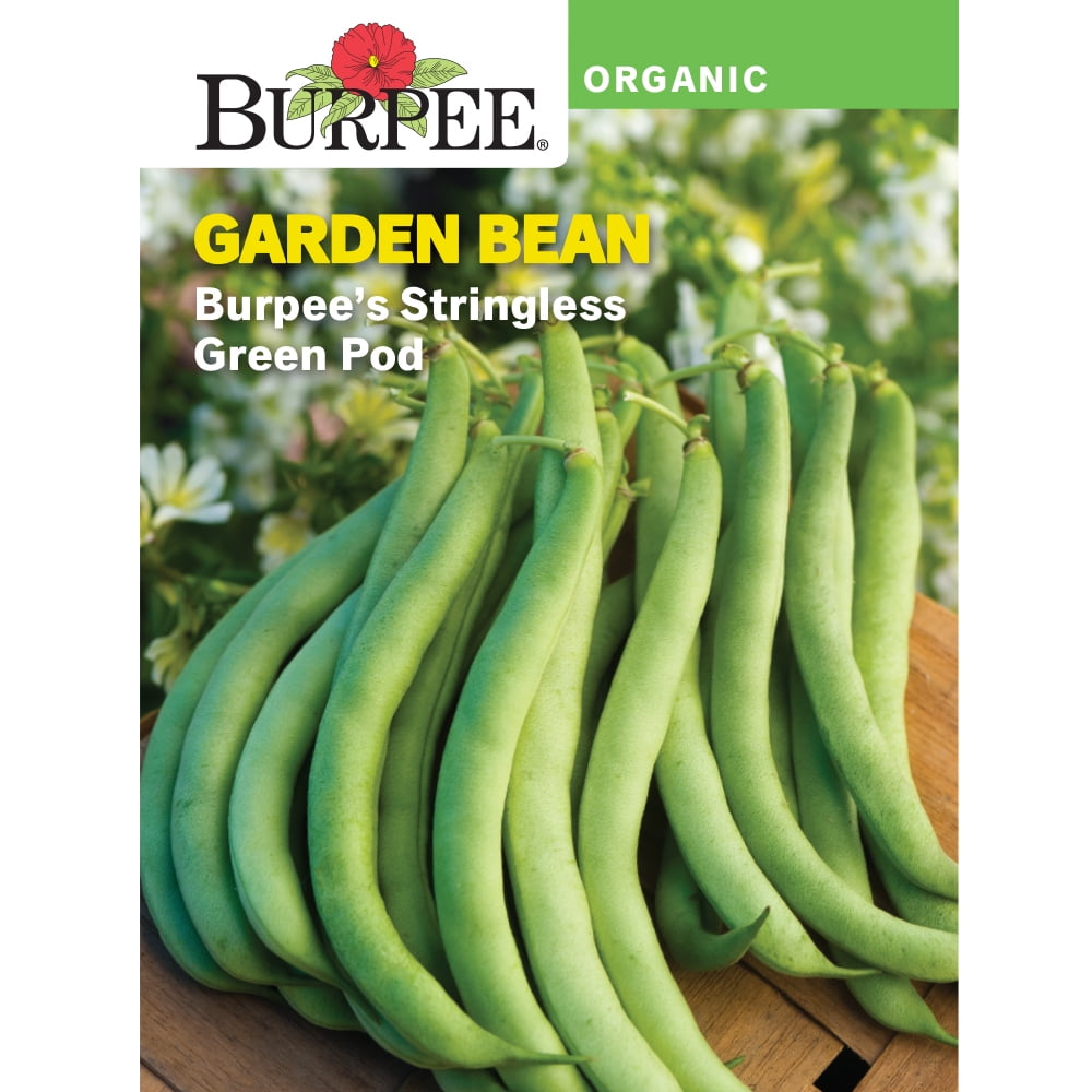 Burpee Organic Burpee's Stringless Green Pod Garden Bean ...
