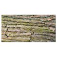 thumbnail image 2 of Peau d'Arbre Épaisse Gros Plan - Impression sur Toile Florale, 2 of 3