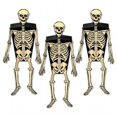 thumbnail image 1 of DDI 1906027 Skeleton Favor Boxes Case of 12, 1 of 1