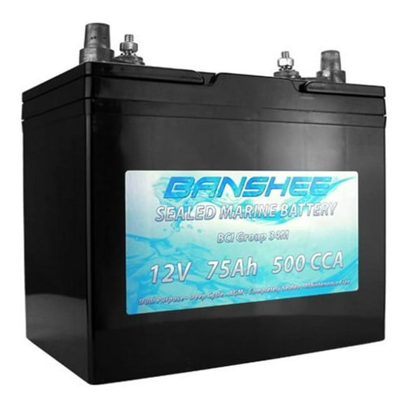 Banshee 34M-AGM-Banshee Group 34 Deep Cycle Sealed AGM Marine Battery