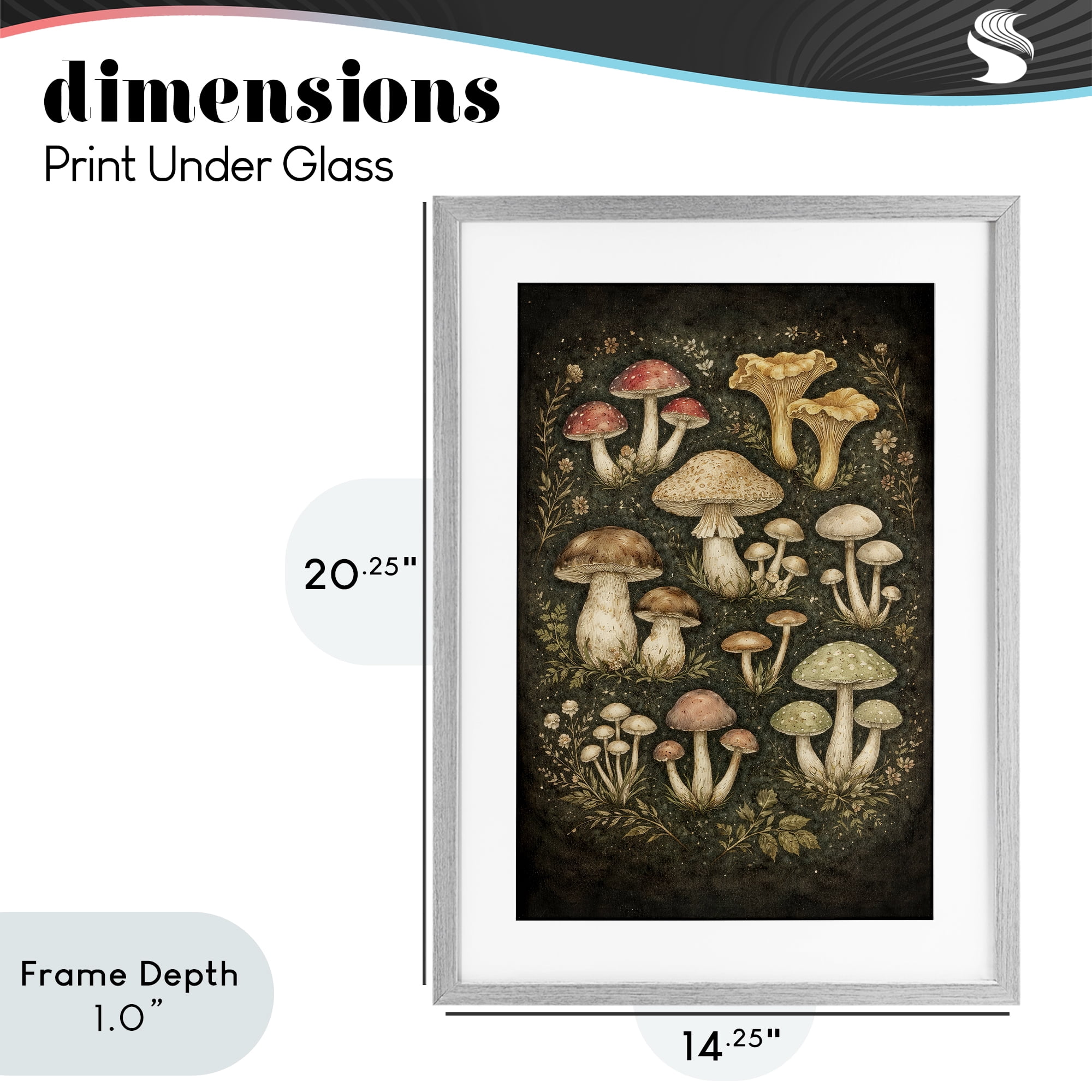 Stupell Industries Organic Sprouting Mushrooms Gray Framed Print Under Glass, design by Tom Crehan