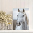 thumbnail image 2 of Qisvanset 12x16 Inch White Horse Portrait Canvas Wall Art, Elegant Animal Print Ready To Hang Horse Lover Home Decor, 2 of 8