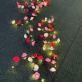 thumbnail image 2 of Willow Vine Light Flower Rama LED Con Control Remoto para El en Casa, 2 of 9