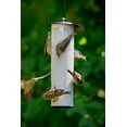 thumbnail image 3 of Birds Choice Modern Farmhouse Metal Hanging Bird Feeder for Finches, Black/White, 3 of 5