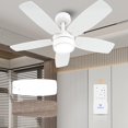 thumbnail image 1 of Ventilador de techo Vagizm 91 cm con luz y control remoto, 1 of 6