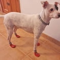 thumbnail image 3 of Methold 2 pares de calcetines pequeños para mascotas Animal transpirable elástico impermeable calcetín para botas caminar senderismo zapato portátil Suministros para perros Azul L Methold PT004541-06, 3 of 6