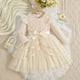 thumbnail image 4 of Arcos para Niñas Vestido de Malla de Manga Voladora con Cinturón Color Sólido Nudo de Arco Vestir Fiesta Casual Niños Vestido de Primavera, 4 of 5