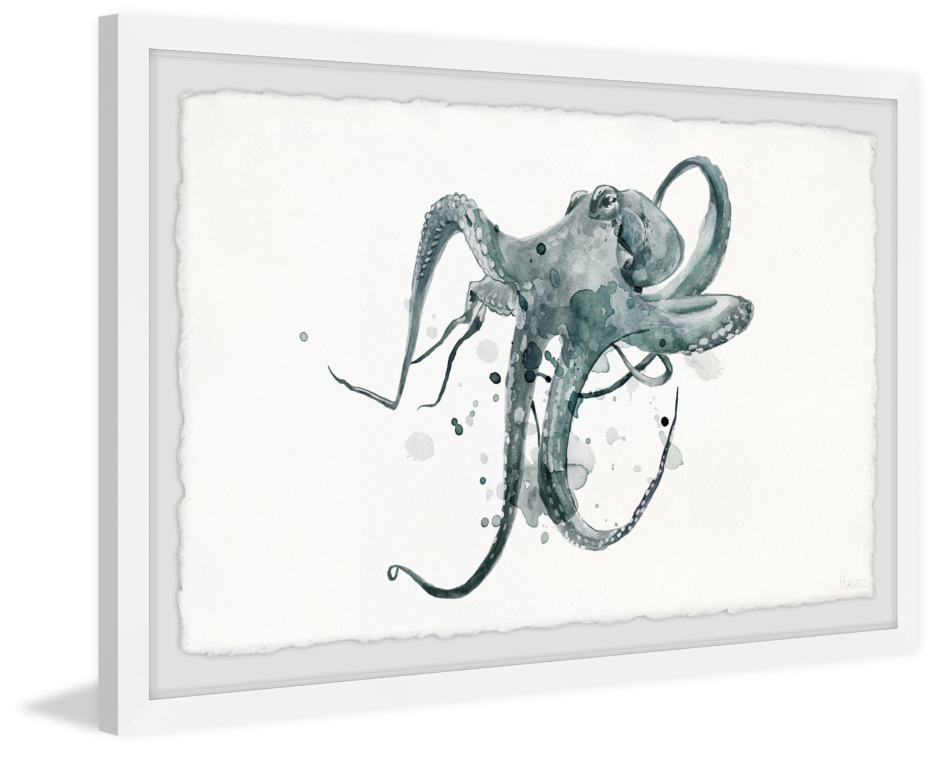 Parvez Taj Wondering Octopus Framed Wall Art