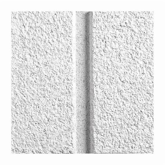 Armstrong Ceiling Tile,24 in L,24 in W,PK12 590B
