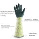 thumbnail image 3 of Garden Print Pruning Gloves for Men/Women, Anti-Thorn Gardening Gloves for Planting Flowers-Green, 3 of 4