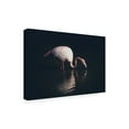 thumbnail image 4 of Trademark Fine Art Marco Tagliarino Enlighted Flamingo Canvas Wall Art, 4 of 4
