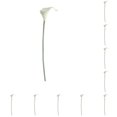 thumbnail image 1 of Naiovety Flores artificiales elegantes de Calla simuladas para la decoración del hogar y estambre amarillo alto blanco estambre amarillo blanco 10Conjunto, 1 of 6