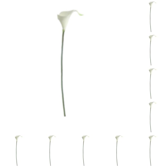 Naiovety Flores artificiales elegantes de Calla simuladas para la decoración del hogar y estambre amarillo alto blanco estambre amarillo blanco 10Conjunto