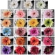 thumbnail image 3 of Simulación de girasol, flor fulang, gerbera, decoración del hogar, flor falsa, 3 of 5