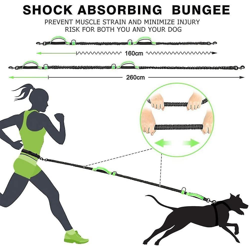 Dog leash around waist hot sale