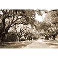 thumbnail image 3 of Hausenflock, Alan 24x17 Black Modern Framed Museum Art Print Titled - Charleston Oaks 10 Sepia, 3 of 5
