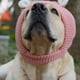 thumbnail image 3 of Orejeras Silenciosas Para Perros Gorros De Punto Para Perros Orejas De Mascota Gorros Cálidos De Invierno Ropa, 3 of 7