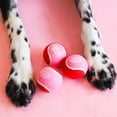 Packed Party Valentine's Day Tennis Ball Dog Toy, 3pk, 2.5"