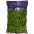 thumbnail image 1 of SuperMoss (25322) Forest Moss Preserved, Fresh Green, 8oz, 1 of 1