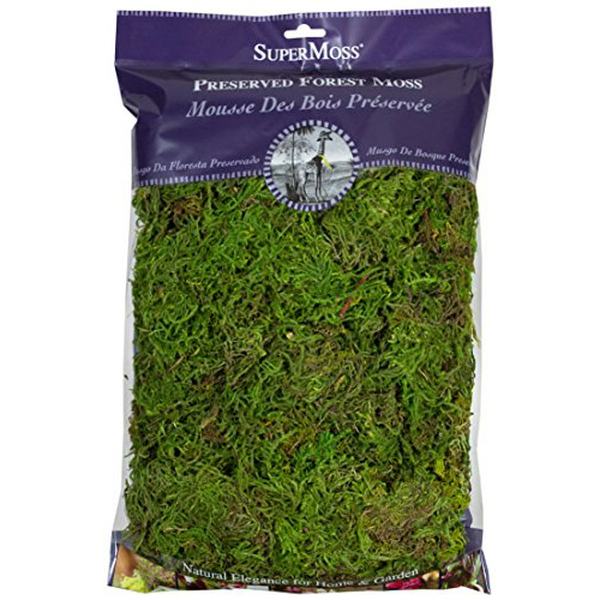 Super Moss Mountain Moss - Vert Frais, 5lbs Guadeloupe